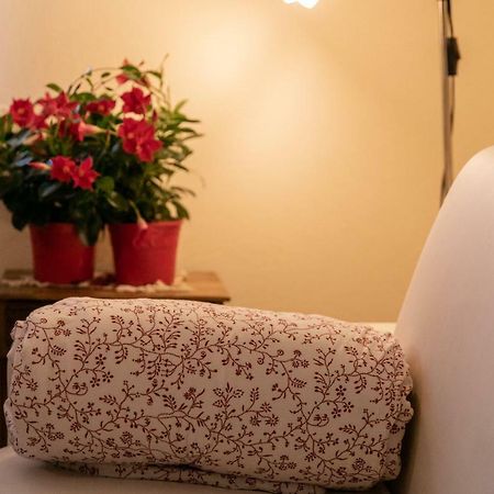 La Casa In Collina Apartment อัลบา ภายนอก รูปภาพ
