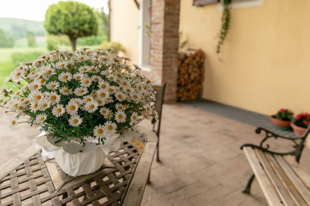 La Casa In Collina Apartment อัลบา ภายนอก รูปภาพ
