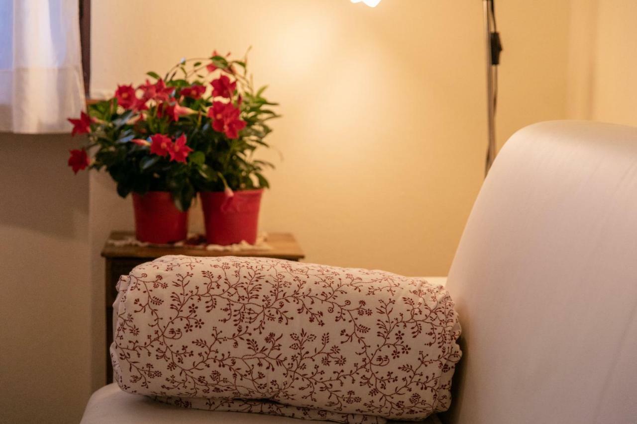 La Casa In Collina Apartment อัลบา ภายนอก รูปภาพ